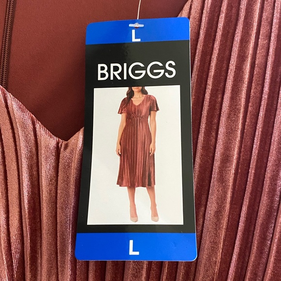 Women’s Briggs Pink Dress Large NWT - Picture 3 of 5